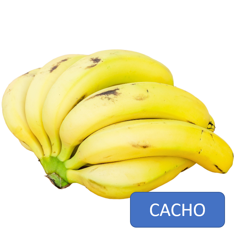 Banana Caturra - CACHO c/5 unid.