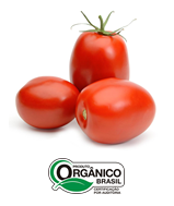 Tomate Italiano Orgânico 400g